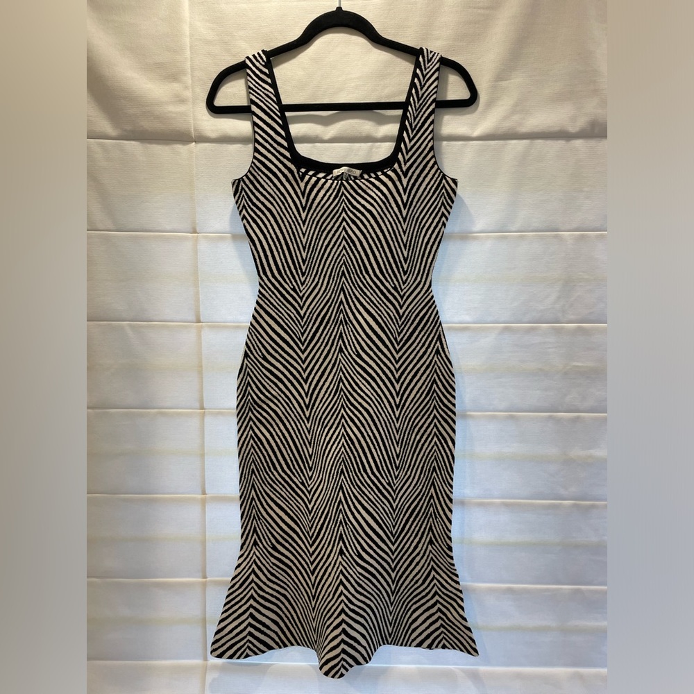 Ronny Kobo dress!